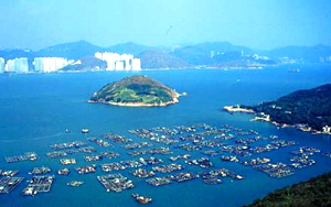 Lamma Island, Hong Kong Attractions, Hong Kong Travel, China Travel