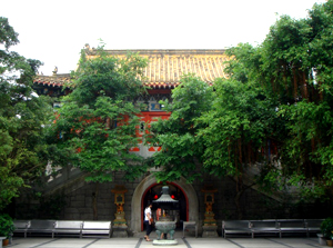 Po Lin Monastery, Hong Kong Attractions, Hong Kong Travel, China Travel