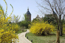 Шэньянский Ботанический Сад 
