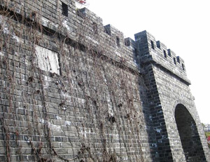 Стена Тайчэн (Taicheng)