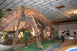 Музей Окаменелости Динозавра